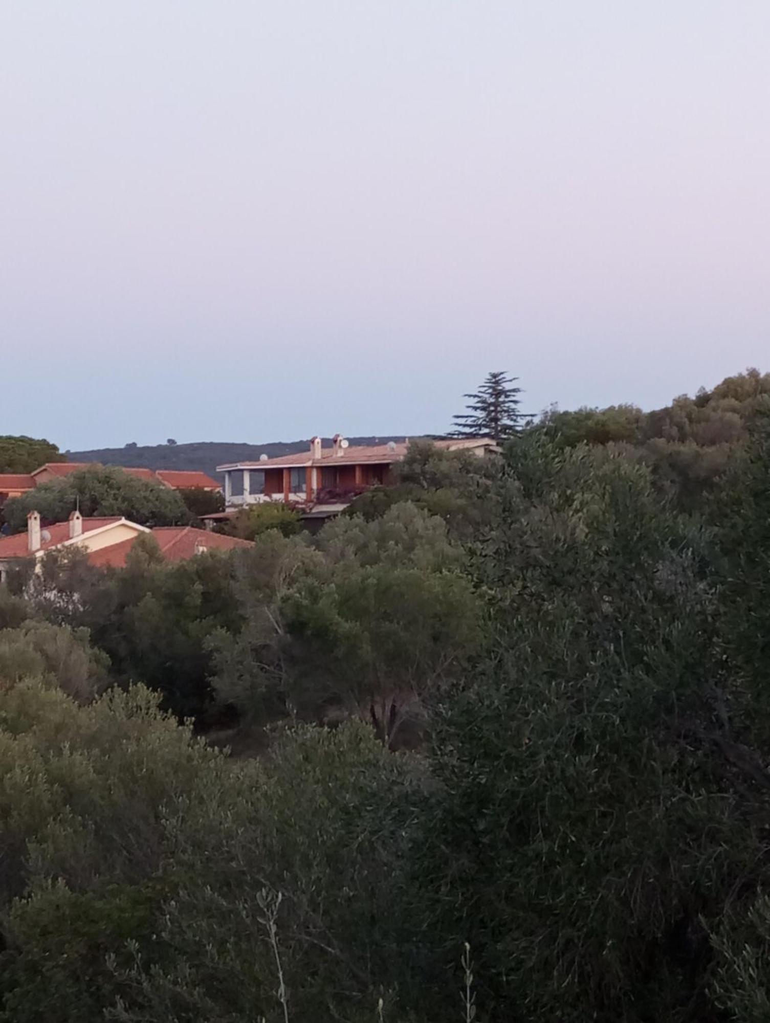 Villetta Cala D'Ambra San Teodoro  Exterior photo