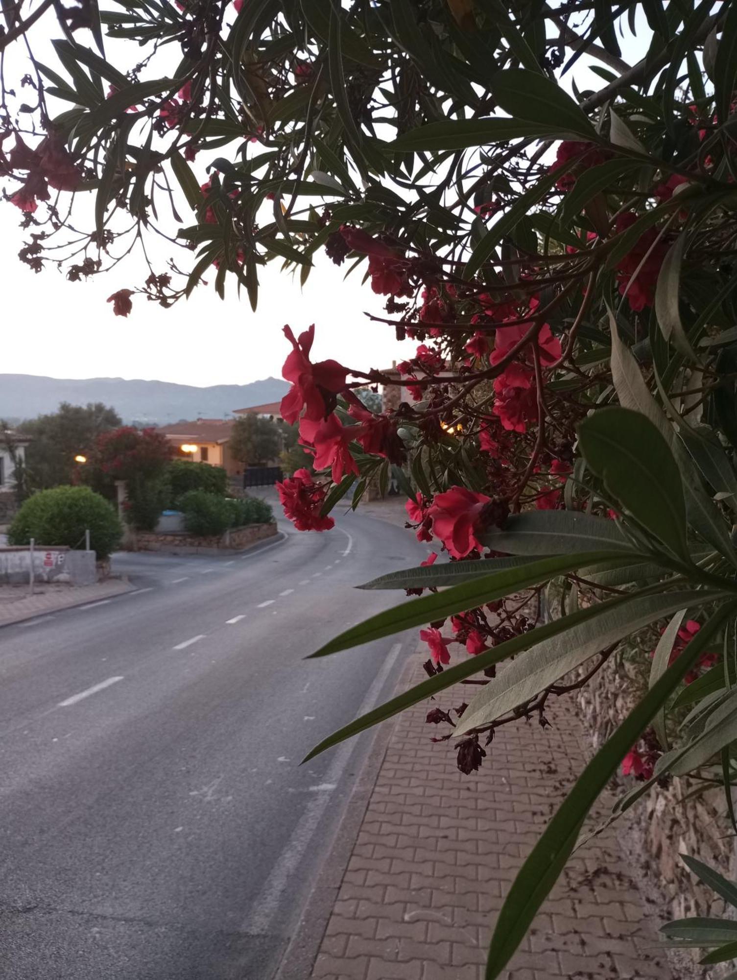 Villetta Cala D'Ambra San Teodoro  Exterior photo